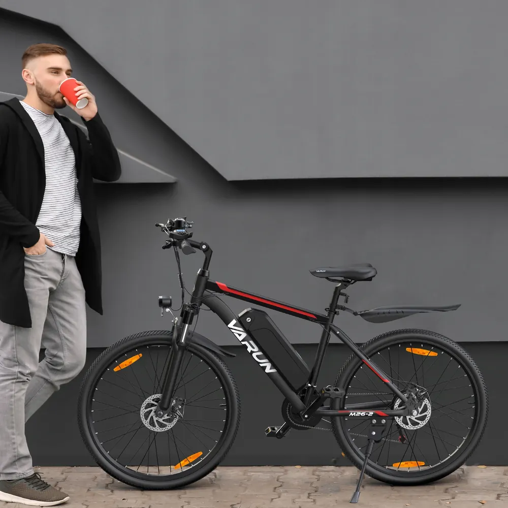 VARUN 250W Mountain Electric Bike image 7