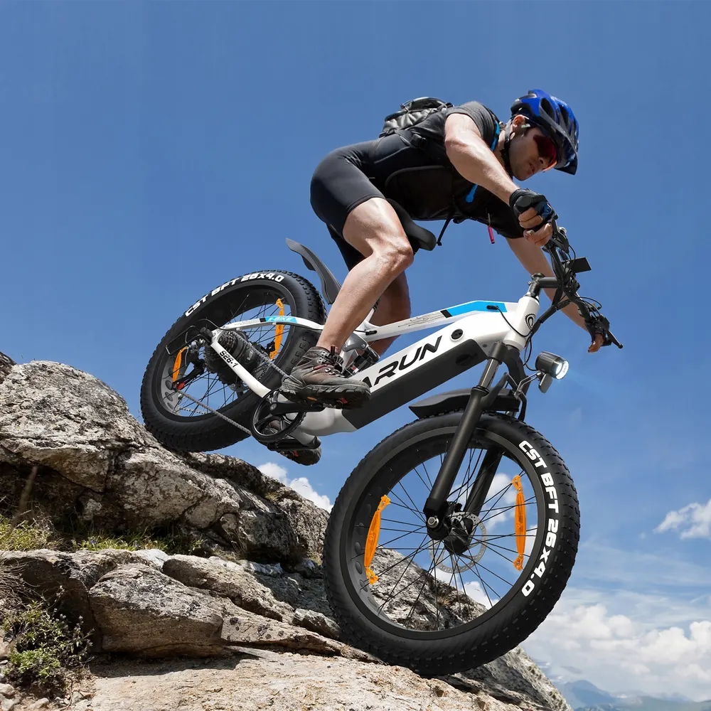 VARUN 26X4.0 Electric Mountain Bike image 2