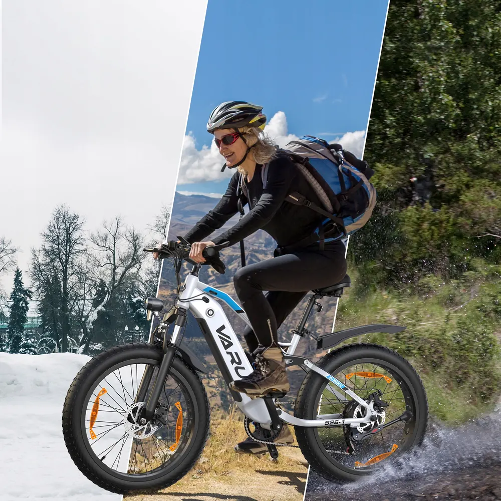 VARUN 26X4.0 Electric Mountain Bike image 5
