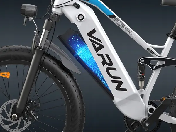 VARUN e-bike with size L frame for taller riders