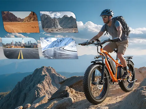 VARUN M26-2 PLUS e-bike supporting maximum load of 150 kg