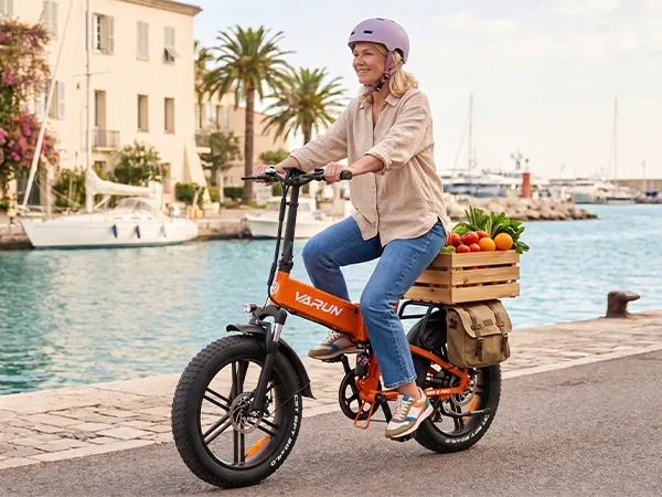 VARUN S20-2 PRO Folding Electric Bike image 14