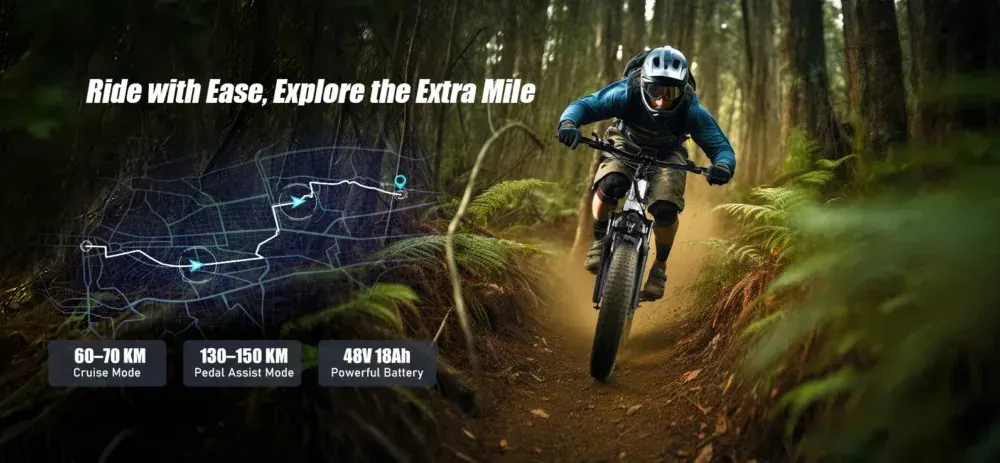 Varun S26-1 Fat Tire Electric Bike