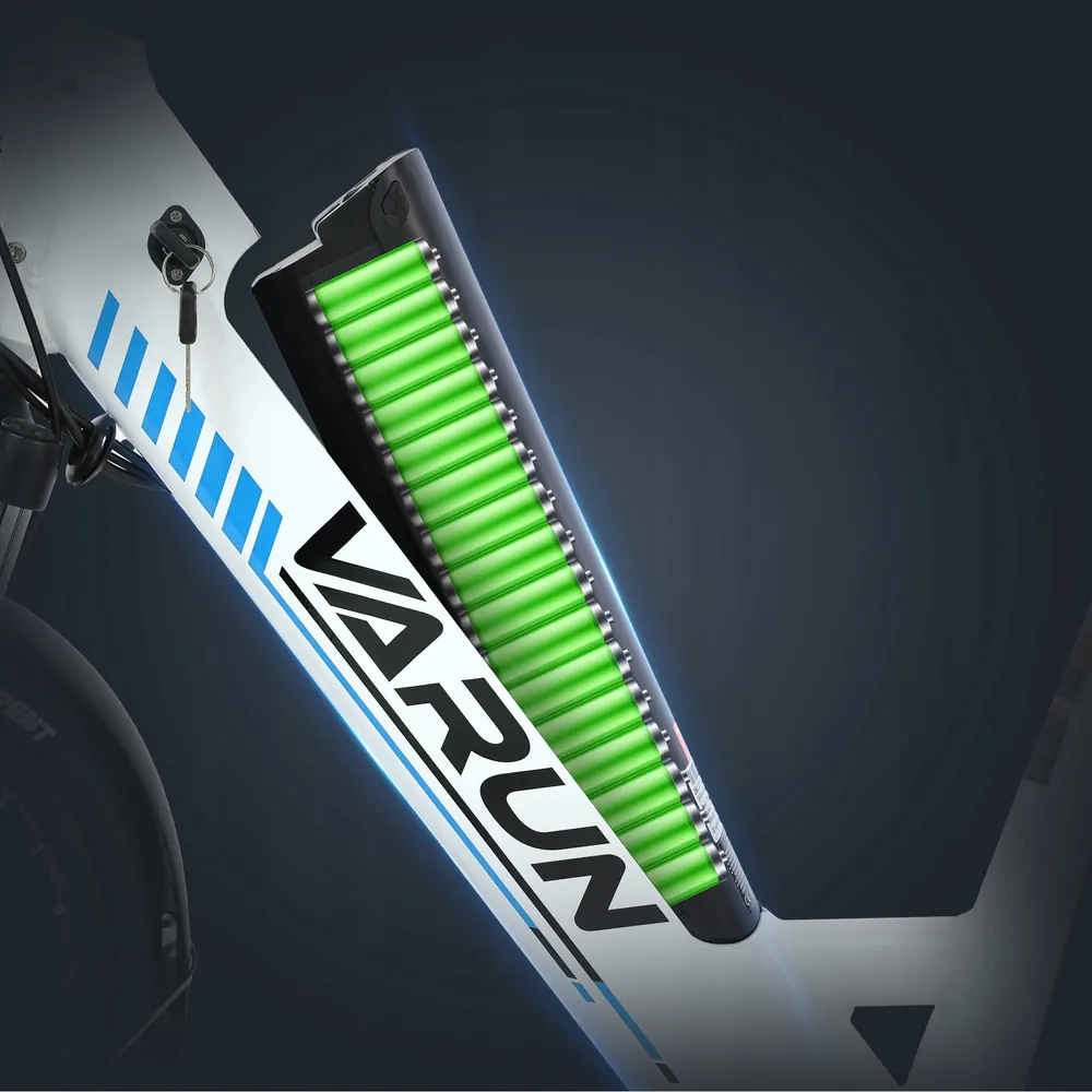 VARUN S700-2 City Electric Bike image 3
