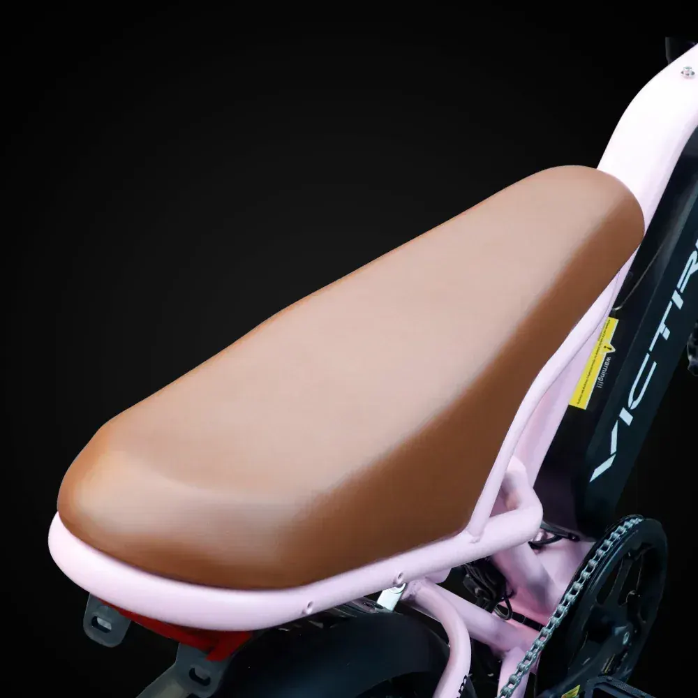 Victrip R6 Electric Off Road Bike image 11