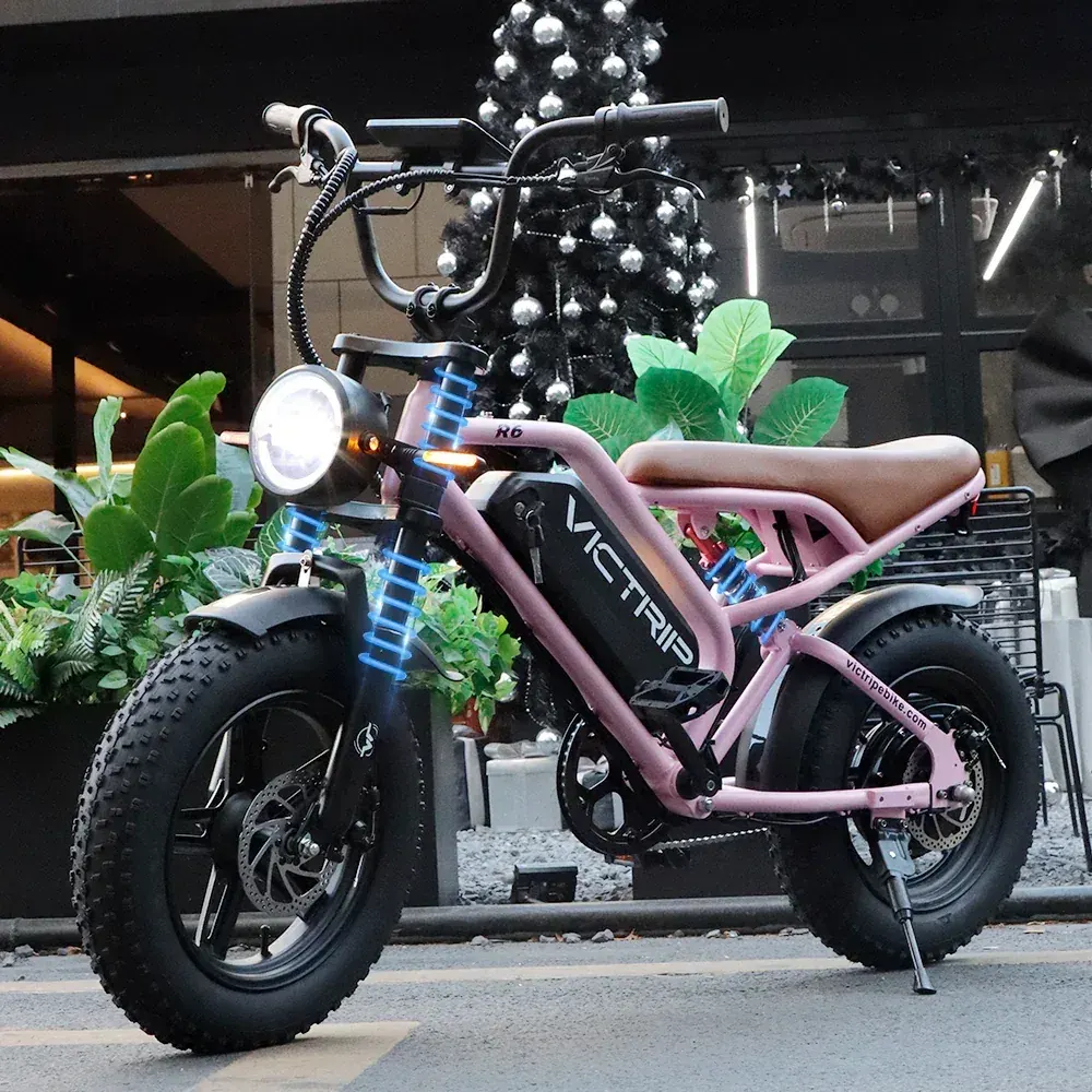 Victrip R6 Electric Off Road Bike image 9