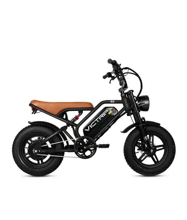 Victrip R6 Electric Off Road Bike image 13