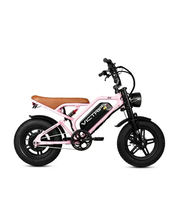 Victrip R6 Electric Off Road Bike image 15
