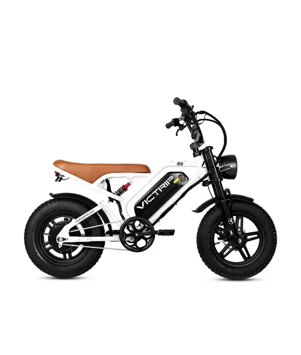 Victrip R6 Electric Off Road Bike image 16