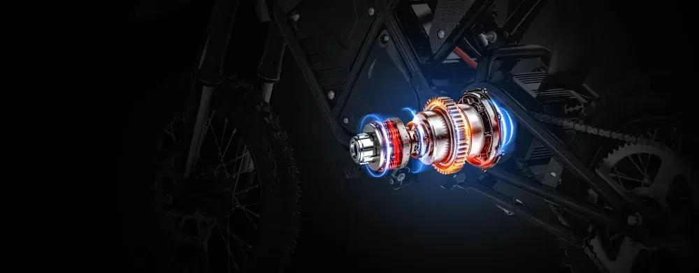 Vipcoo H3 Electric Dirt Bike image 4