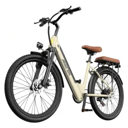 AAIRSK S600 Electric Mountain Bike