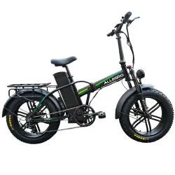 Allegro TDL6125 Folding Electric Bike