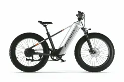 Cyrusher Zenith Fat Tire Electric Bike