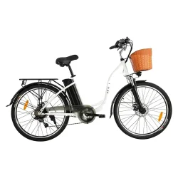 DYU C6 City Hybrid Electric Bike