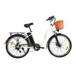 DYU C6 City Hybrid Electric Bike