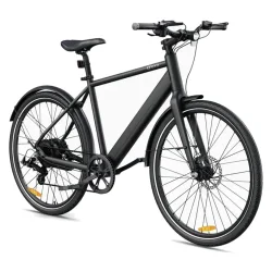 DYU Stroll 1 City Electric Bike