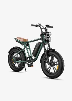 Engwe M20 Moped Style Electric Bike