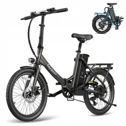 FAFREES F20 Lasting Electric Bike