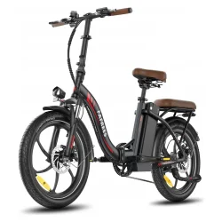 Fafrees F20+ Pro Folding Electric Bike