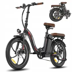 FAFREES F20+ Pro Folding Electric Bike