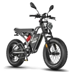 Fafrees F20 Ultra HS Fat Tire Electric Bike