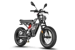 Fafrees F20 Ultra HS Fat Tire Electric Bike