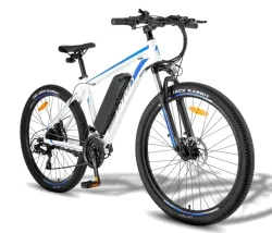 Fafrees F28 MT Electric Mountain Bike