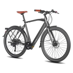 Fafrees F700M Electric City Bike