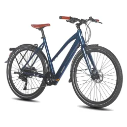 Fafrees F700W Electric City Bike