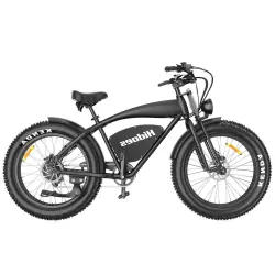 Hidoes B3 Fat Tyre Electric Bike