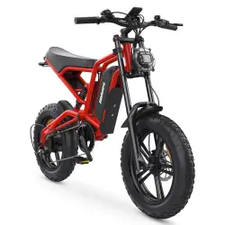 Hidoes B6 Fat Tire Electric Bike for Adults