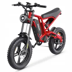 HIDOES B6 Electric Scooter