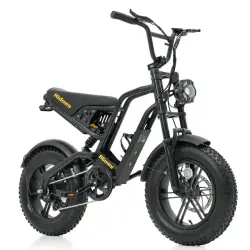 Hidoes B6 Mini Folding Electric Bike
