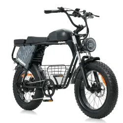 Hidoes B9 Dual Battery Fat Tyre Electric Bike