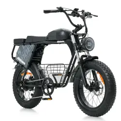 Hidoes B9 Dual Battery Fat Tyre Electric Bike