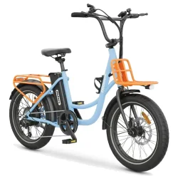 Hidoes C6 Fat Tyre Electric Bike