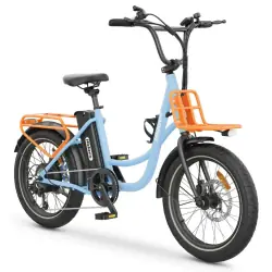 Hidoes C6 Fat Tyre Electric Bike