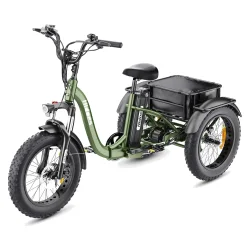 HIDOES HD-ET1 All-Terrain Electric Bike
