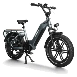 Himiway Big Dog Electric Cargo Bike