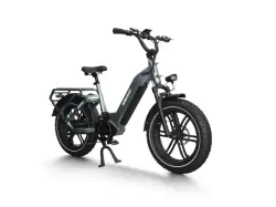 Himiway Big Dog Electric Cargo Bike