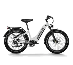 Himiway D5 ST Premium All-Terrain Electric Fat Bike