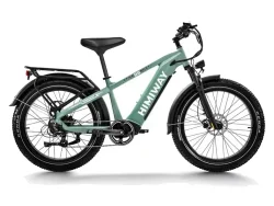 Himiway D5 (Zebra) Premium All-Terrain Electric Fat Bike