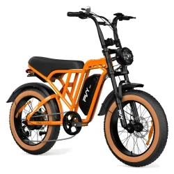 PVY A20 Fat Tire Electric Bike