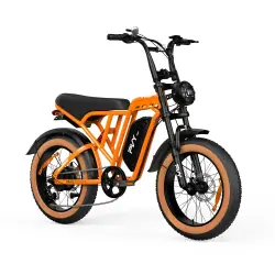 PVY A20 Fat Tire Electric Bike