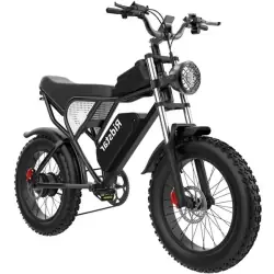 Ridstar Q20 Fat Tire Electric Bike