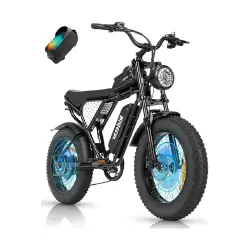 Ridstar Q20 Lite Fat Tire Electric Bike