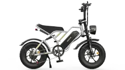 Varun PLORER Fat Tire Electric Bike