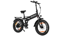 Varun S20-1 Fat Tire Electric Bike