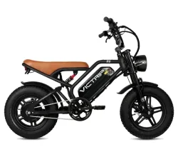 Victrip R6 Electric Off Road Bike