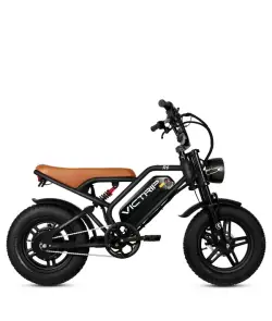 Victrip R6 Electric Off Road Bike